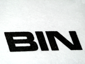 Picture of a short text, it reads "BIN"