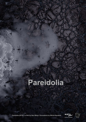 Pareidolia-poster copy.jpeg