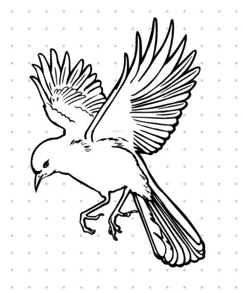 File:Journalistic bird fly.png